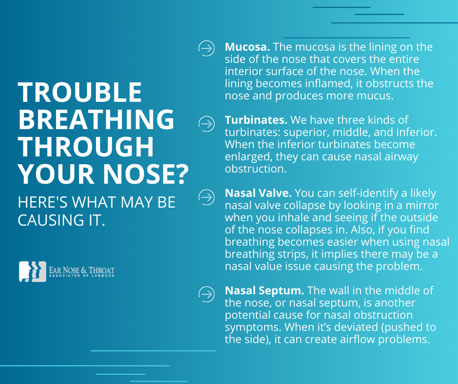 Why Can't I Breathe Well Through My Nose? (Nasal Obstruction and Chronic  Sinusitis)